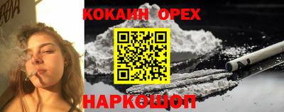 гидропоника Аша